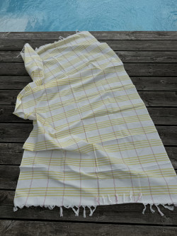 copy of beige beach towel