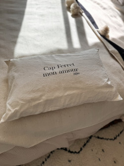 copy of Cover "Cap Ferret...