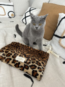 GIGI/ Pochette en fourrure Leopard