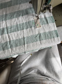 Pistacchio/ Celadon Striped Linen Tote Bag