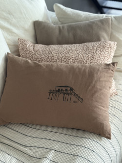Cover  "Cabane tchanquée"