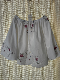 Embroidered Blouse / Poetry