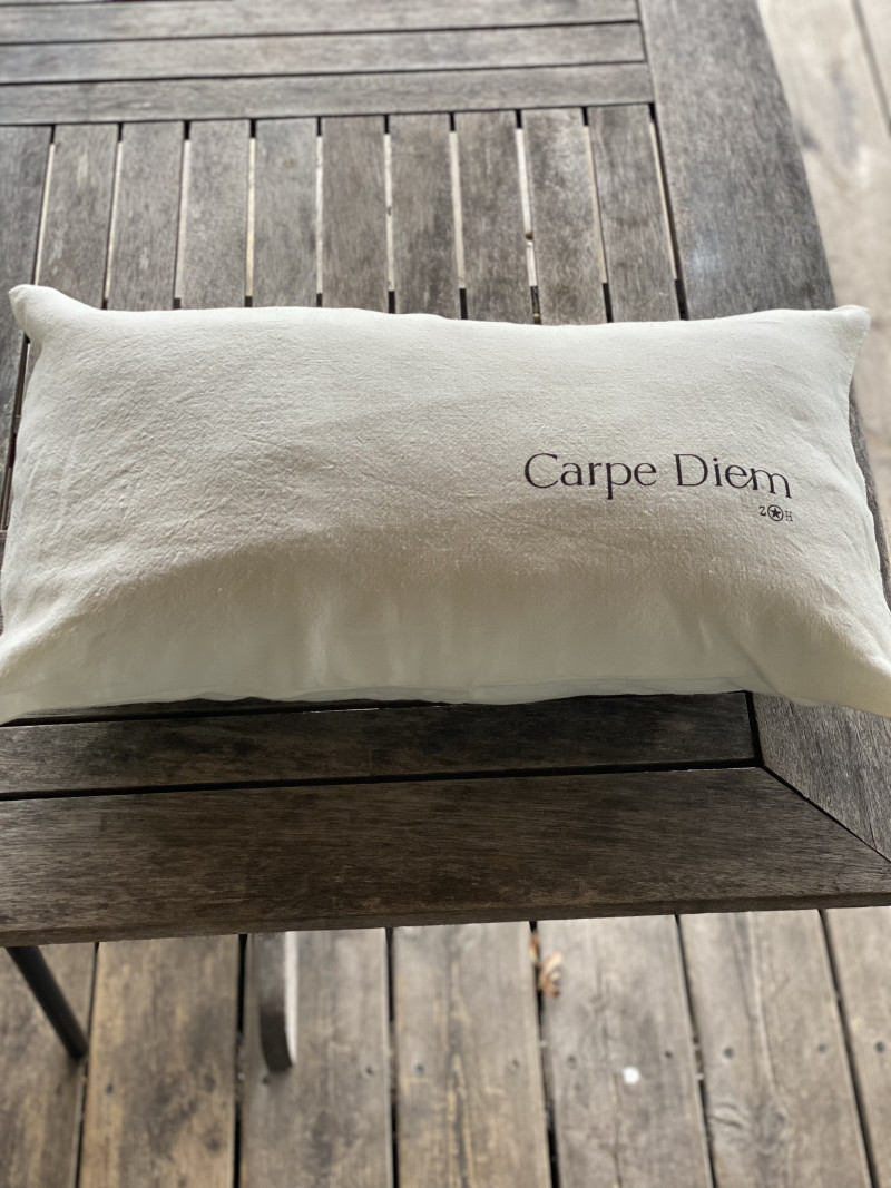 Cushion ‘Carpe Diem ‘