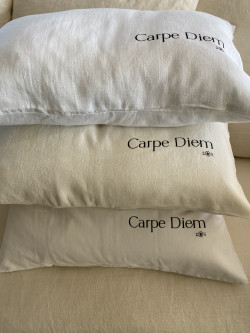 Cushion ''Carpe Diem'‘